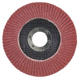 Fächerscheibe - Ø 125 mm • CE80 • flach